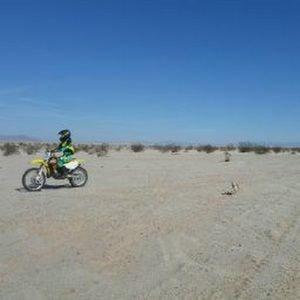 Meet your Posher, Ally